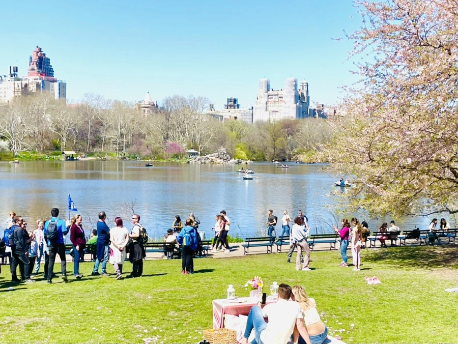 IMG_0677.jpg?type=w966