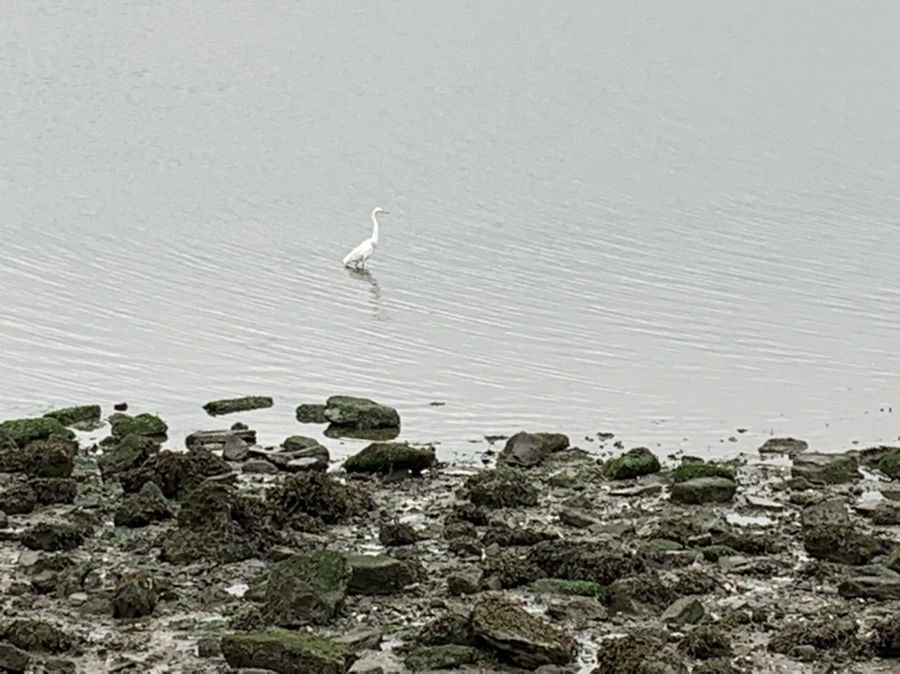 IMG_3637.jpg?type=w966