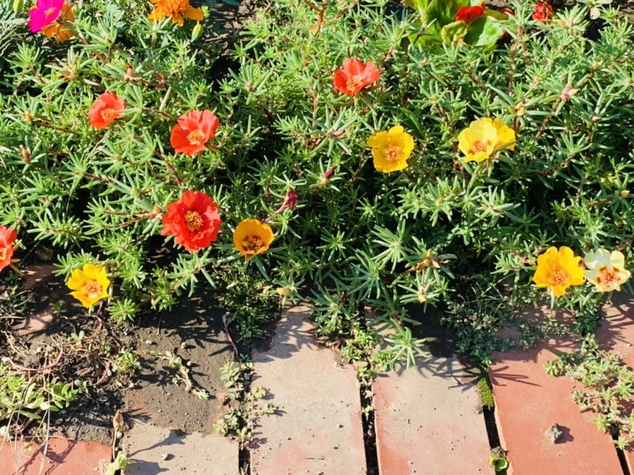 IMG_8407.jpg?type=w966