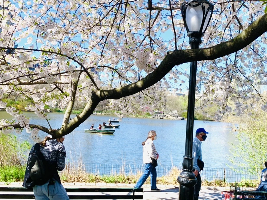 IMG_1929.jpg?type=w966