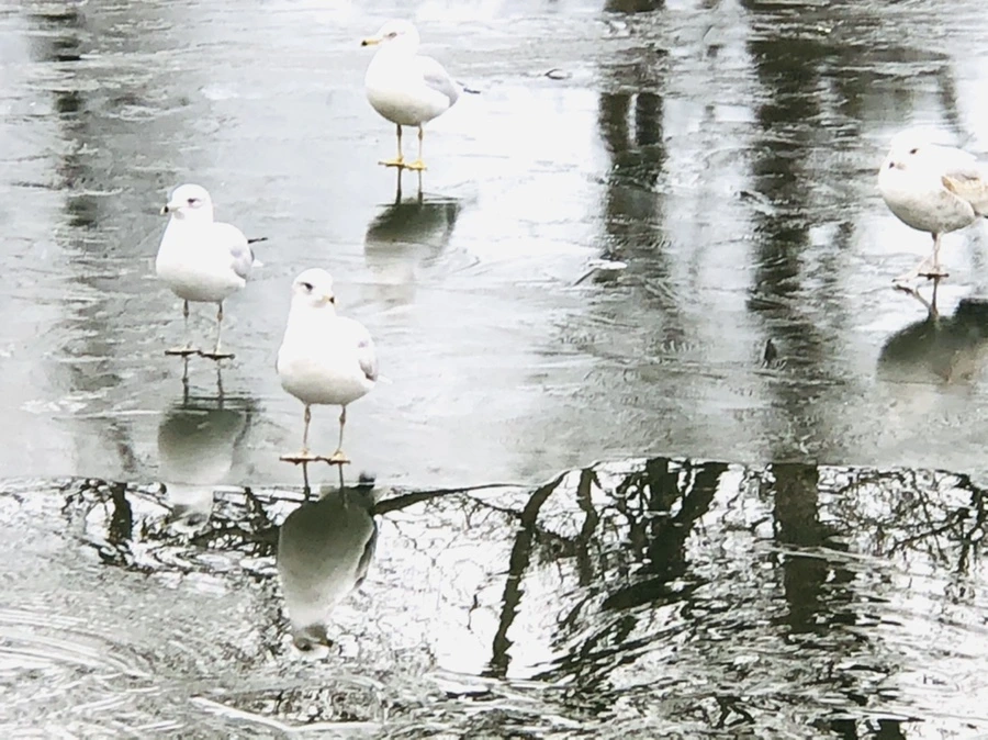 IMG_8967.jpg?type=w966