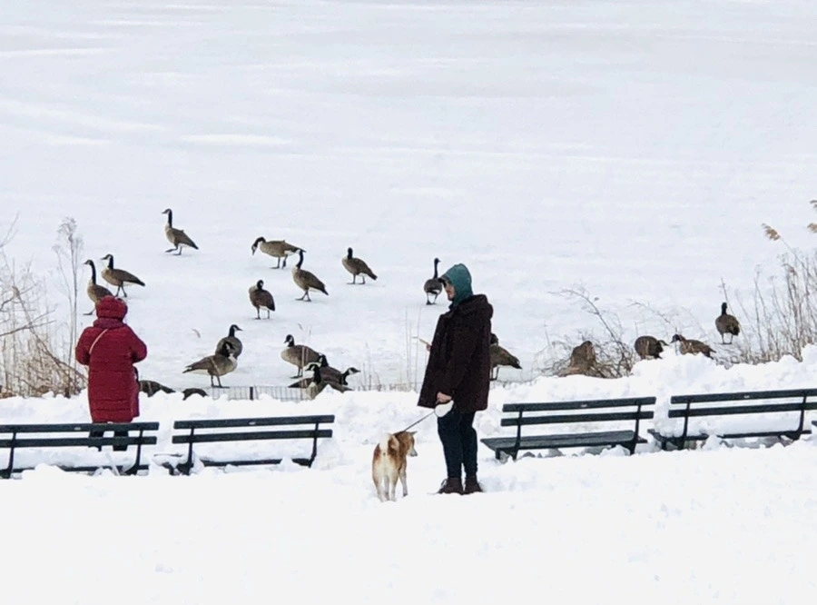 pRb60t2N5o5Lr_mDP4uxBbIOMNE