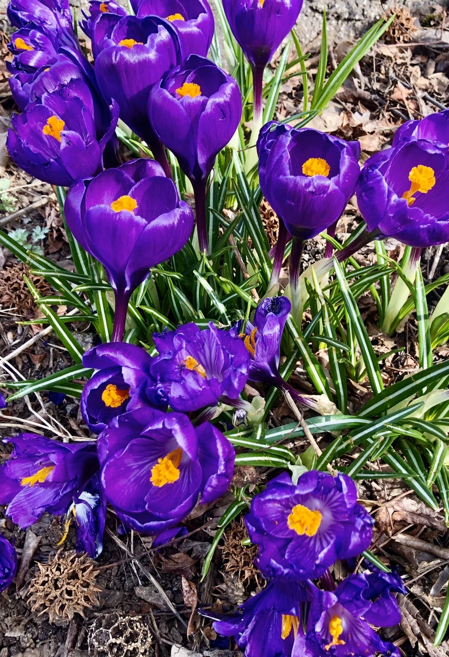 IMG_6024.jpg?type=w966