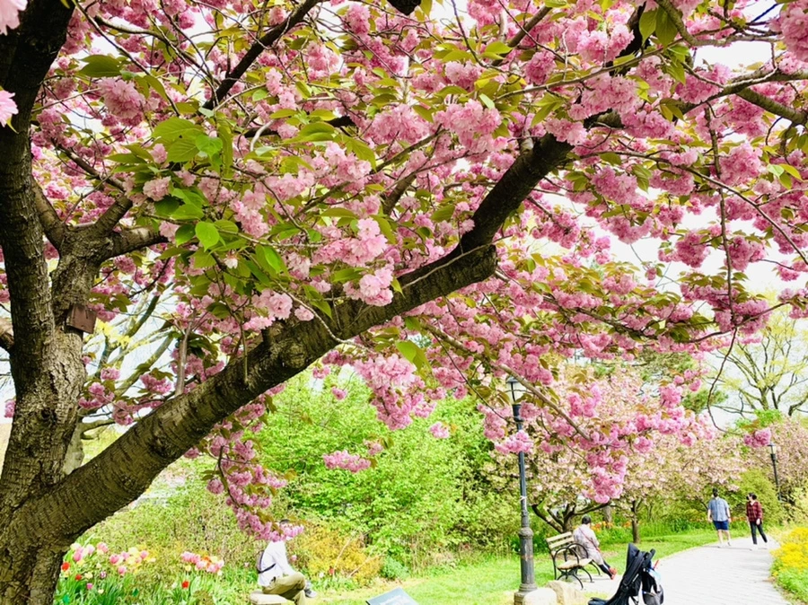 IMG_7003.jpg?type=w966