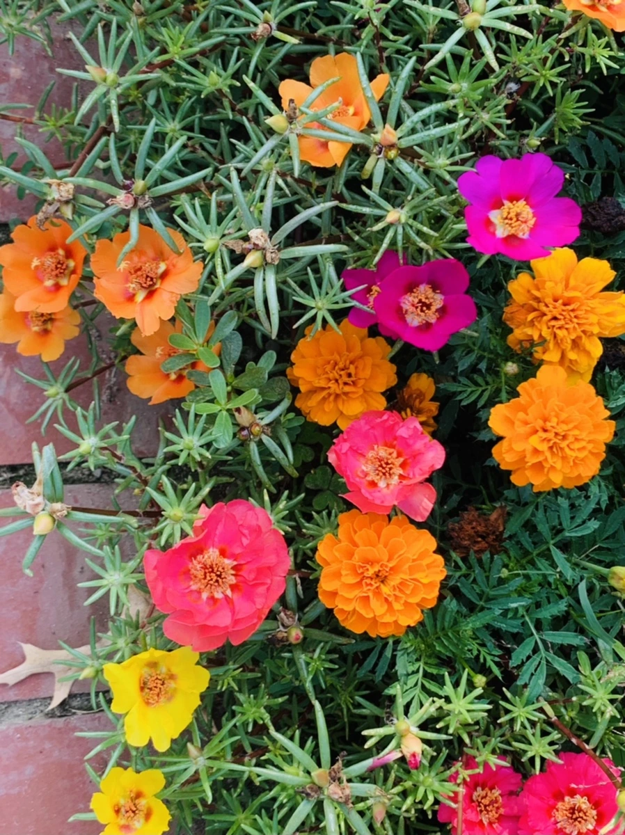 IMG_6655.jpg?type=w966