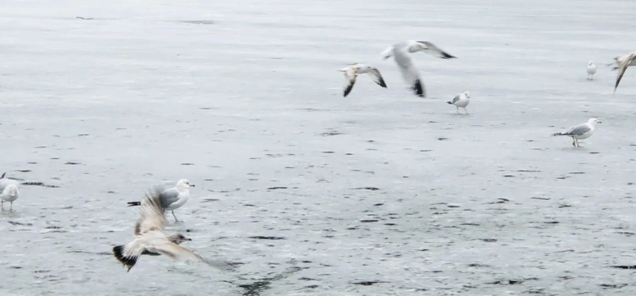 IMG_5525.jpg?type=w966