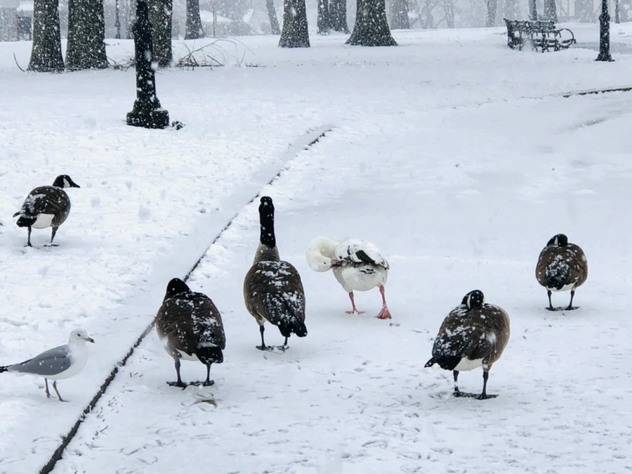 IMG_4205.jpg?type=w966