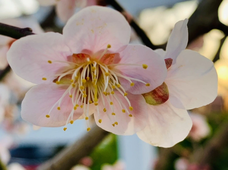 IMG_2728.jpg?type=w966