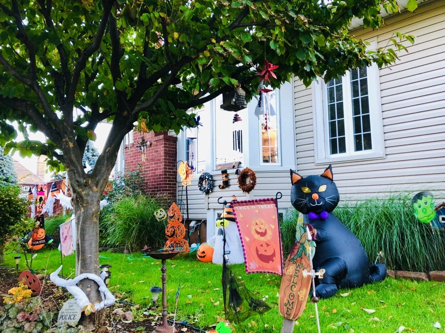 IMG_3189.jpg?type=w966