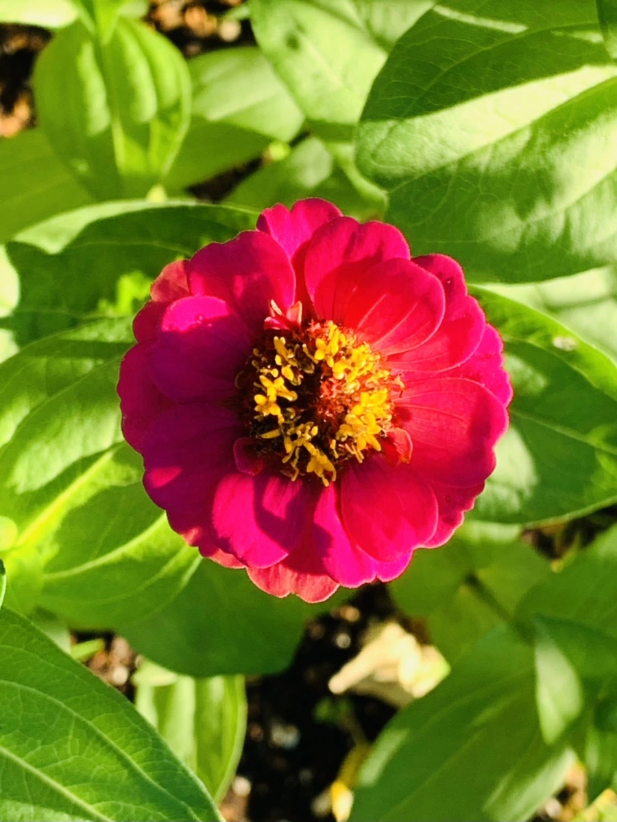 IMG_6230.jpg?type=w966