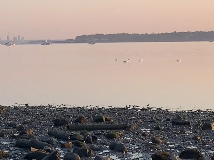 IMG_0227.jpg?type=w966