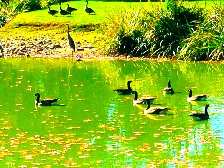 IMG_1881.JPG?type=w1