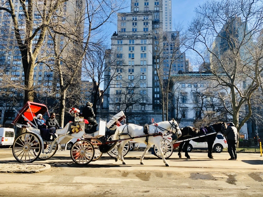 IMG_3989.jpg?type=w966