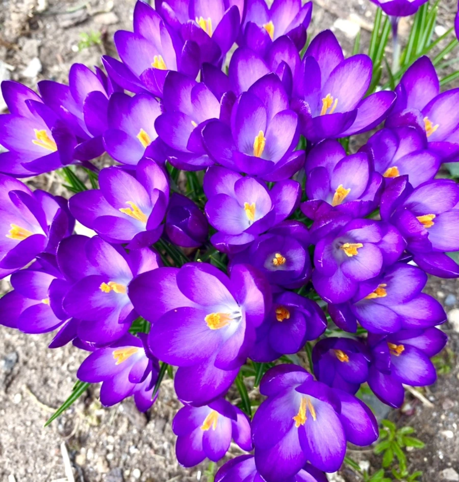 IMG_1064.jpg?type=w966