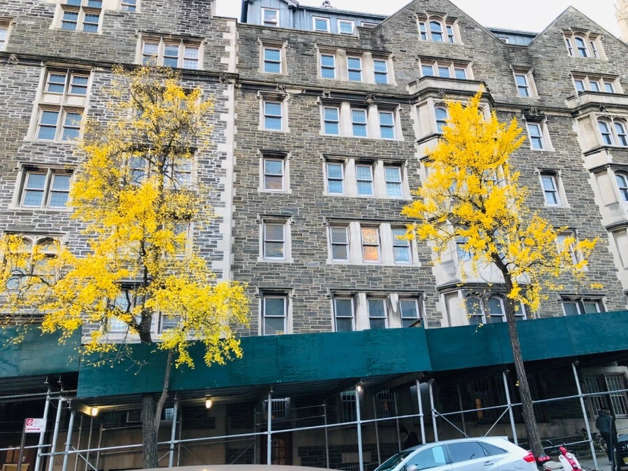 IMG_7632.jpg?type=w966