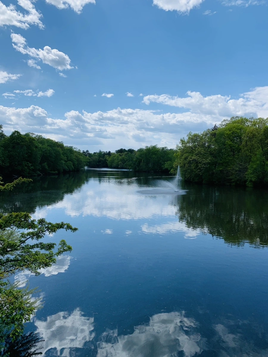 IMG_2435.jpg?type=w966