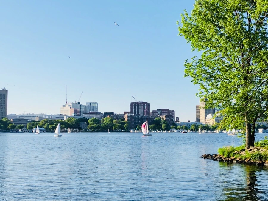 IMG_6773.jpg?type=w966