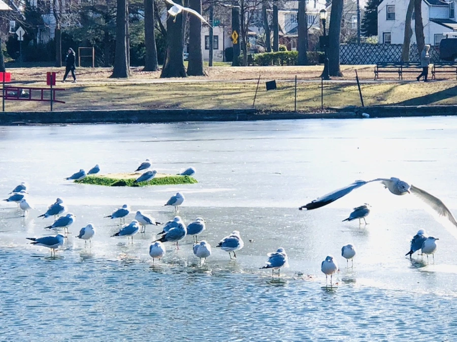 IMG_6825.jpg?type=w966