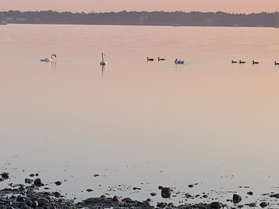 IMG_0197.jpg?type=w966