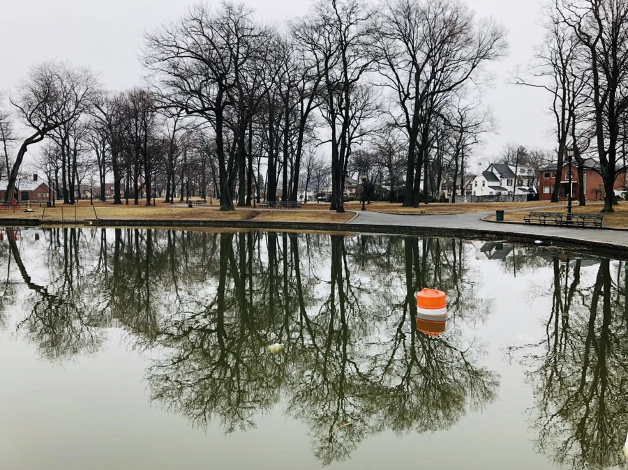 IMG_0024.jpg?type=w966