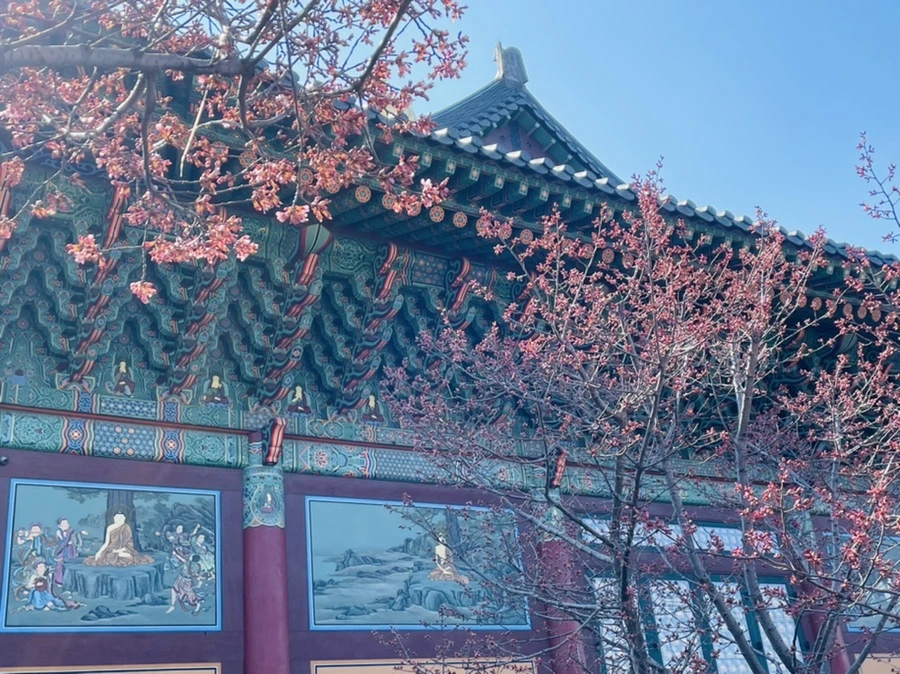 IMG_5868.jpg?type=w966