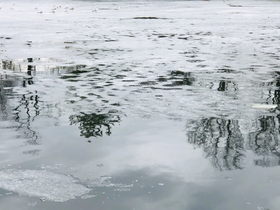 IMG_6411.jpg?type=w966