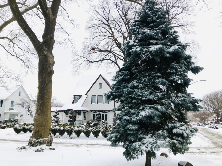 IMG_3416.jpg?type=w966