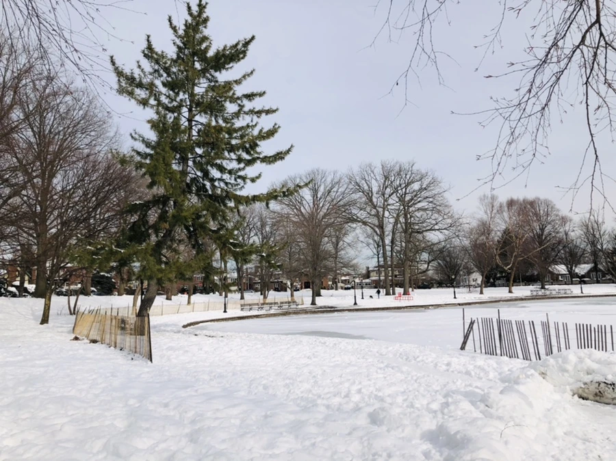 IMG_1656.jpg?type=w966