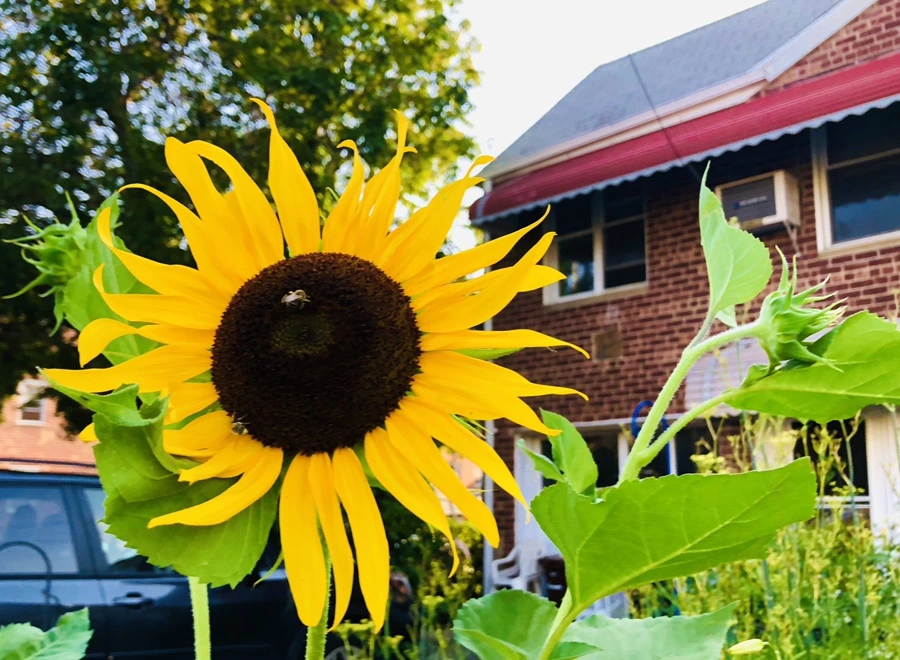 IMG_3605.jpg?type=w966