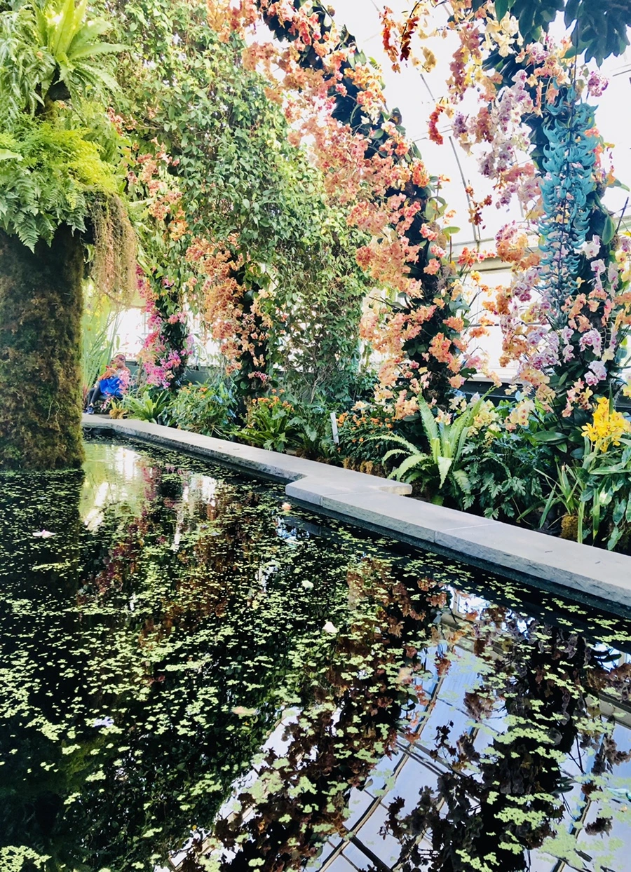 IMG_6273.jpg?type=w966