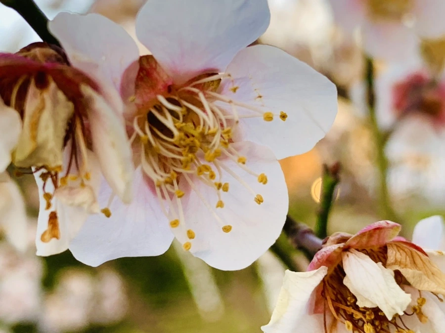 IMG_2756.jpg?type=w966