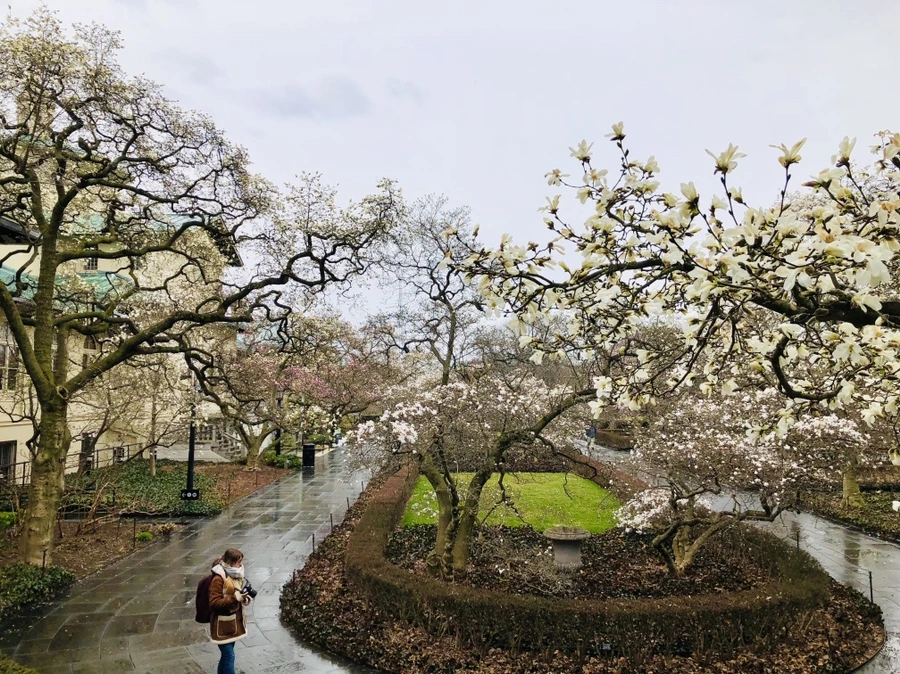 IMG_2363.jpg?type=w966