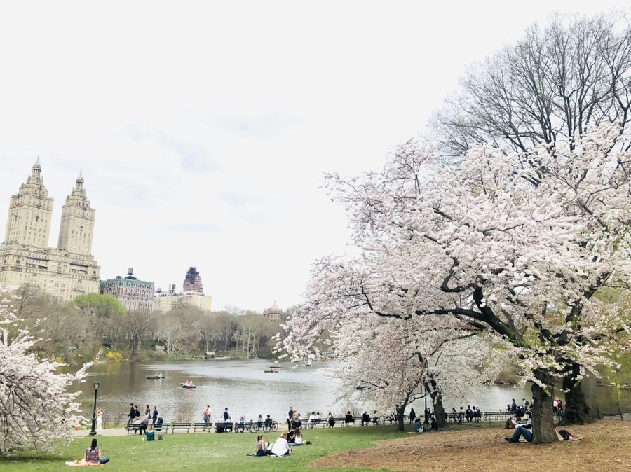 IMG_2951.jpg?type=w966