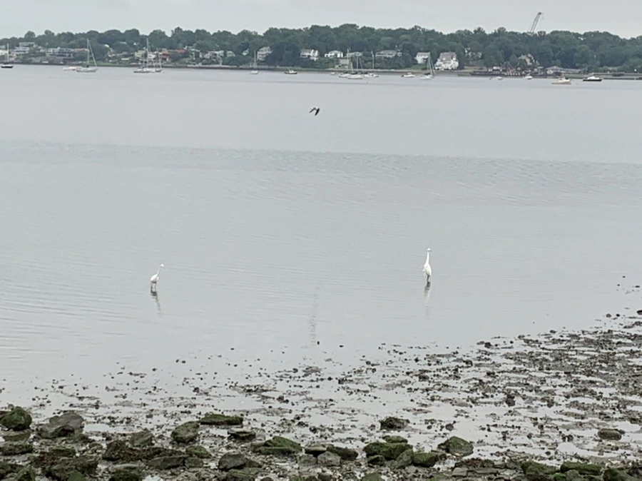 IMG_3675.jpg?type=w966