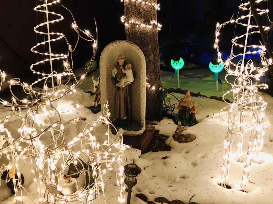 IMG_7703.jpg?type=w966