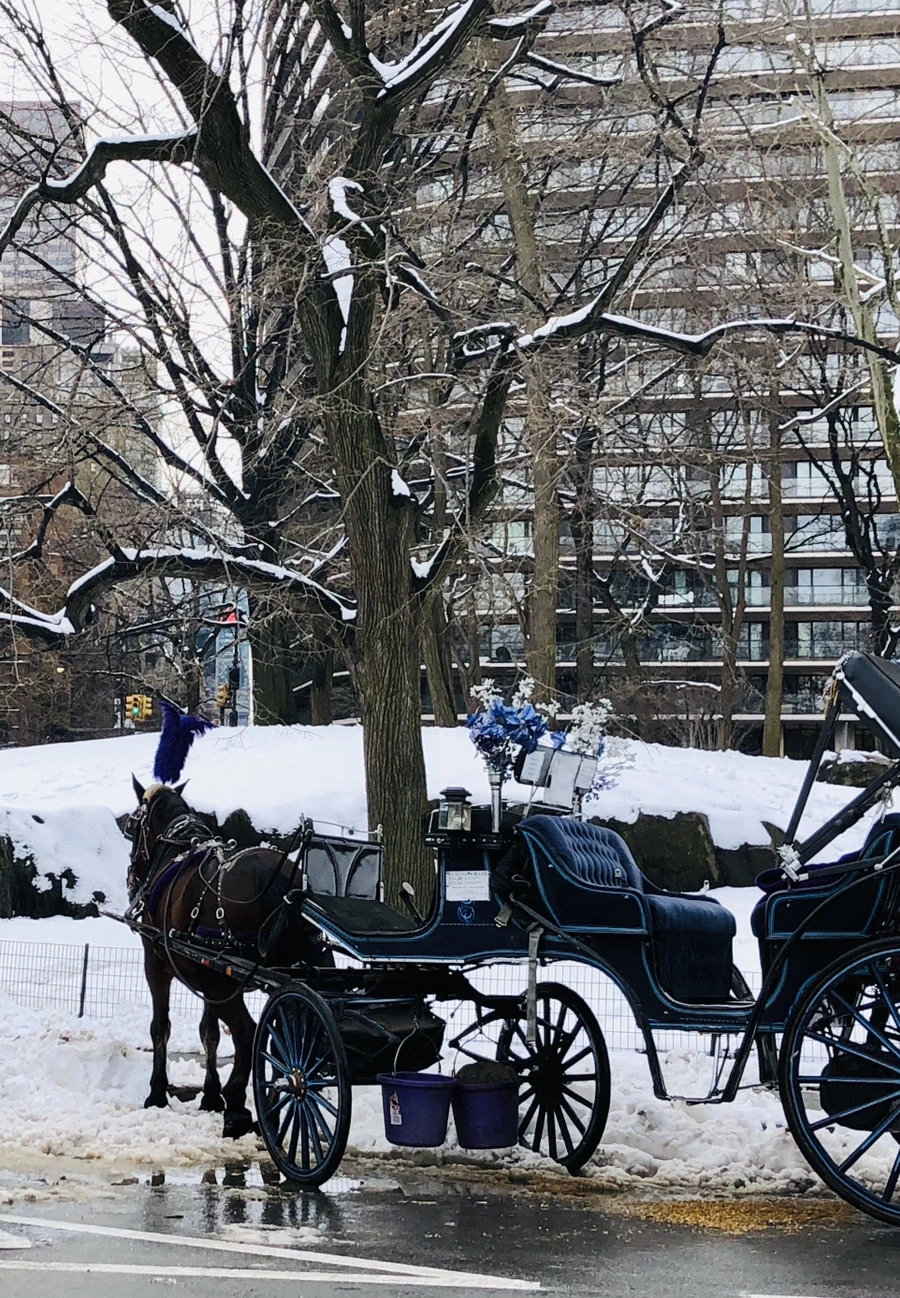 IMG_0377.jpg?type=w966