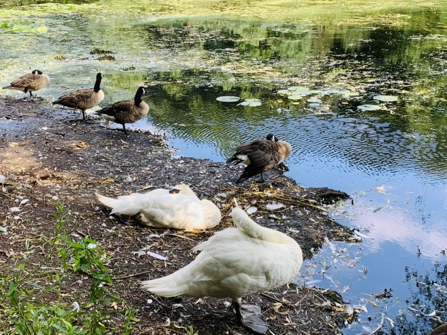 IMG_7638.jpg?type=w966