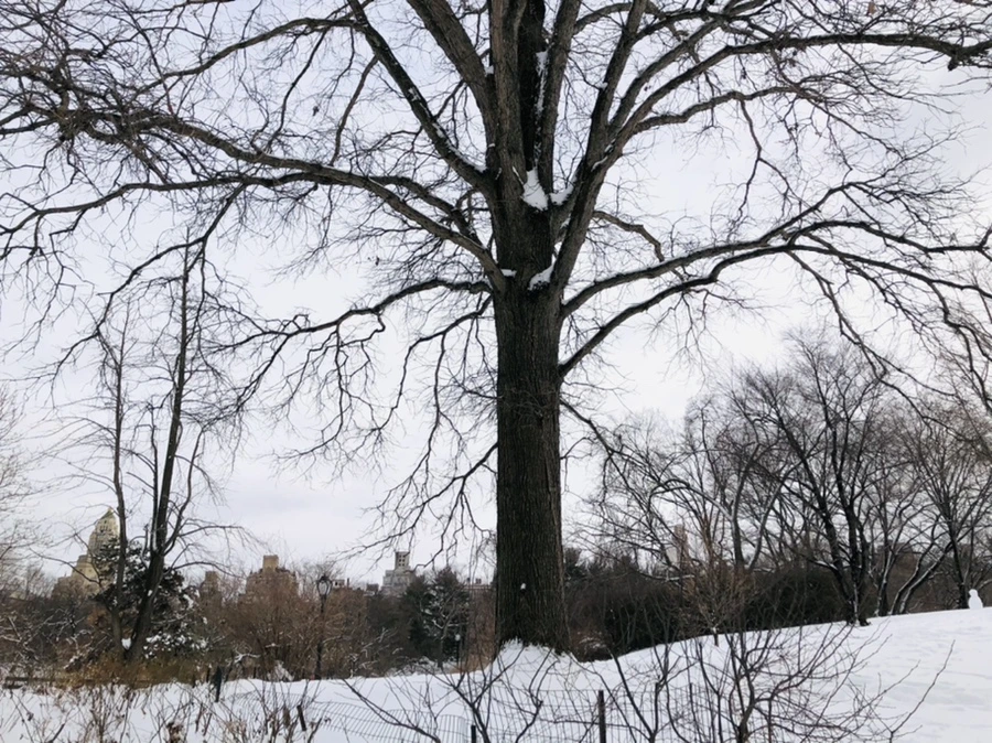 IMG_9460.jpg?type=w966