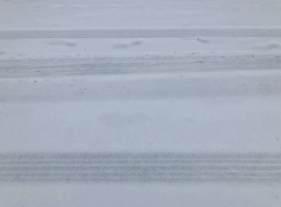 IMG_3317.jpg?type=w966