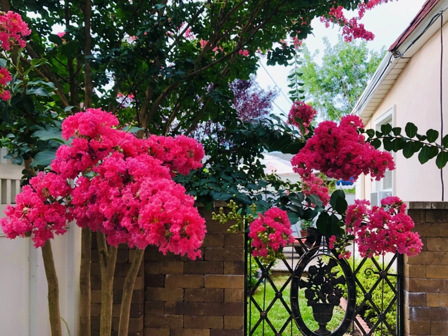 IMG_5691.jpg?type=w966