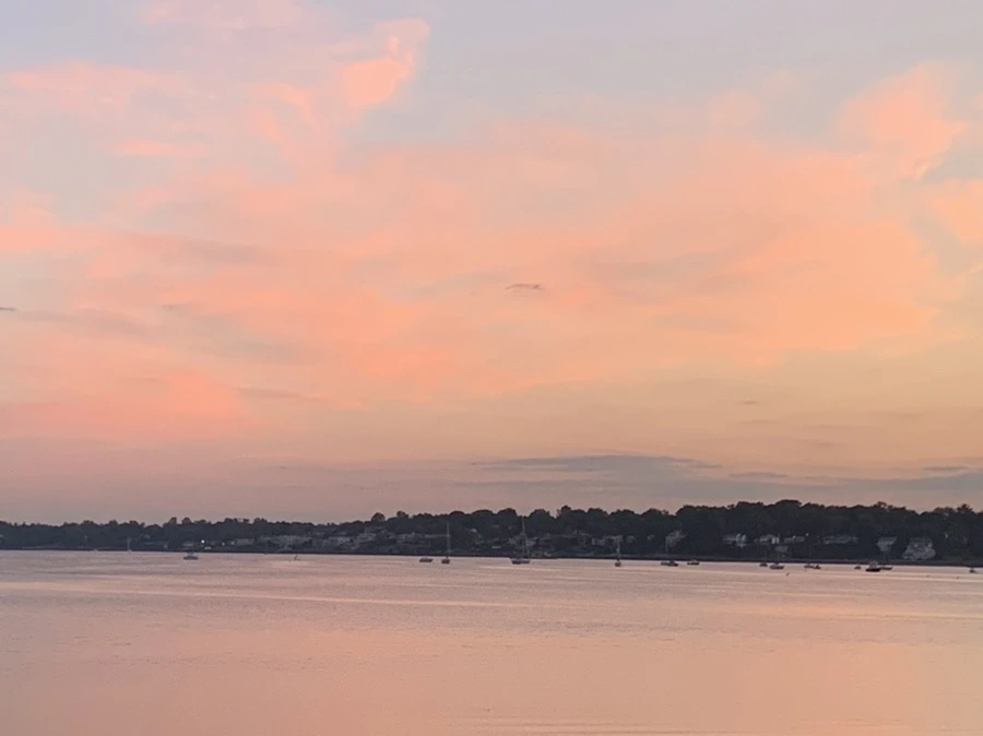 IMG_8742.jpg?type=w966