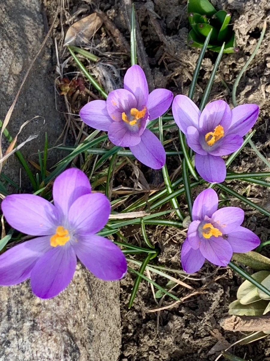 IMG_0278.jpg?type=w966