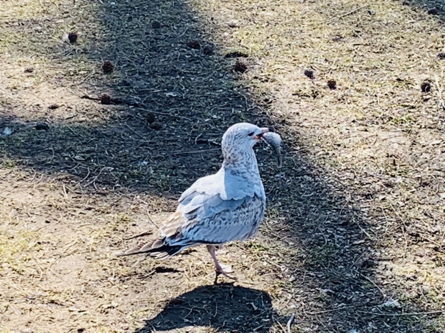 IMG_9279.jpg?type=w966