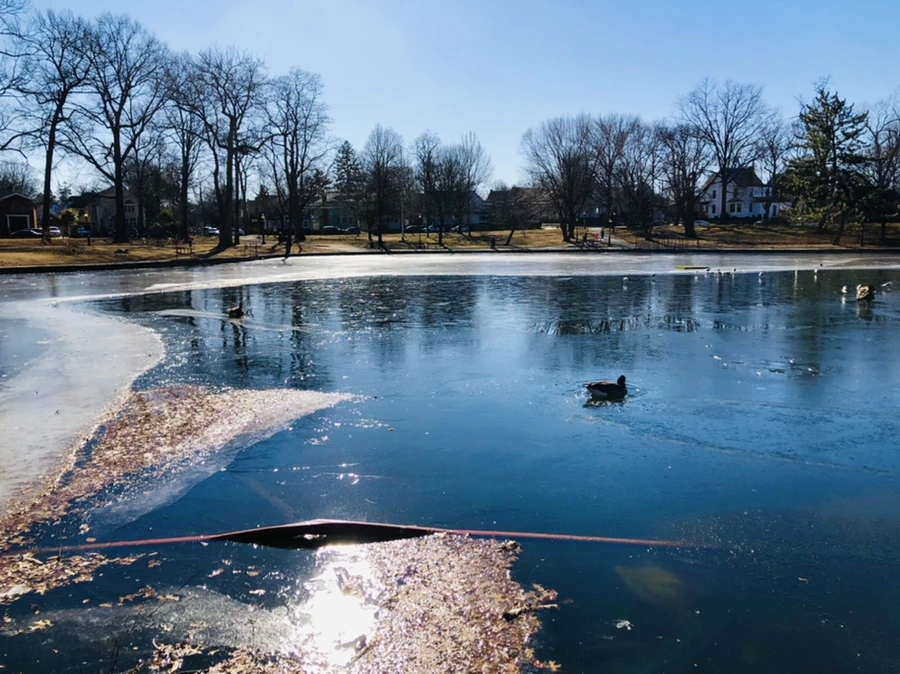 IMG_7924.jpg?type=w966