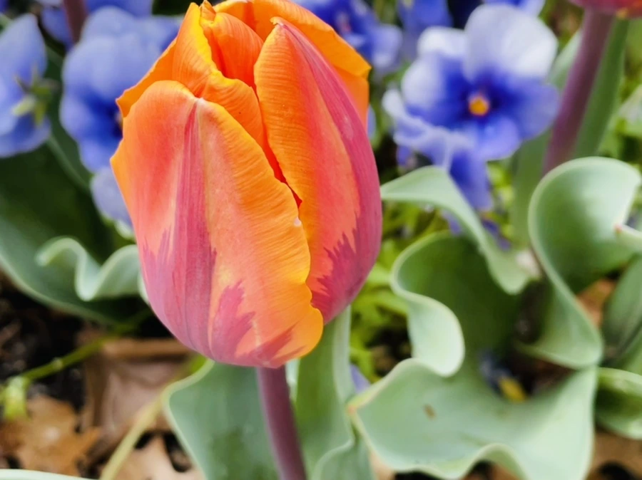 IMG_1422.jpg?type=w966