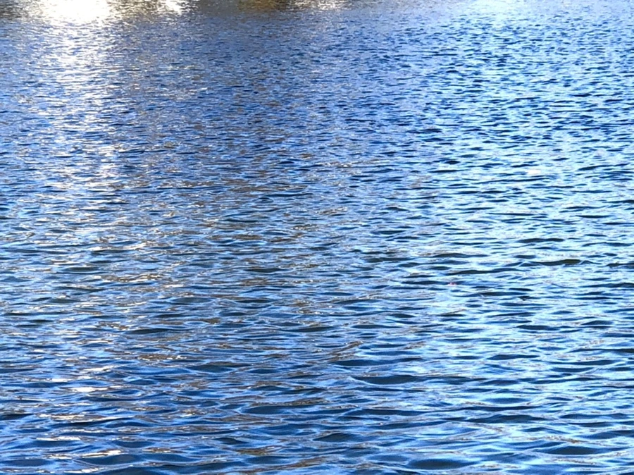 IMG_3910.jpg?type=w966