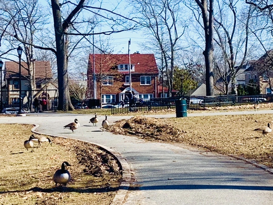 IMG_6952.jpg?type=w966