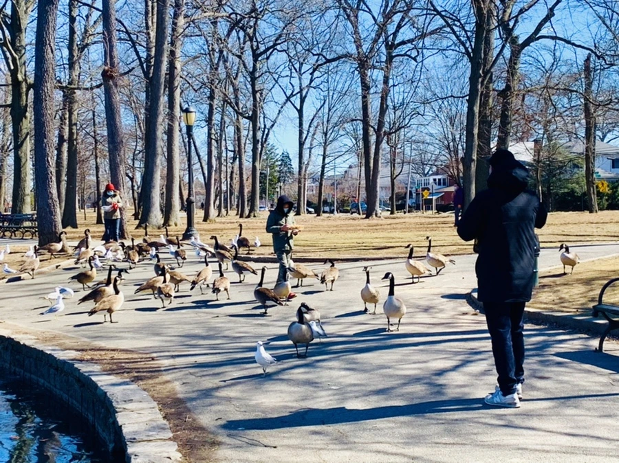 IMG_8250.jpg?type=w966