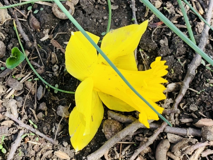 IMG_6362.jpg?type=w966