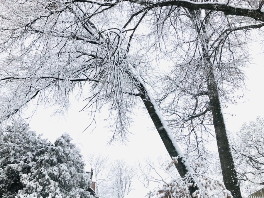 IMG_1002.jpg?type=w966